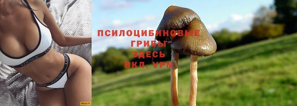 стафф Гусь-Хрустальный