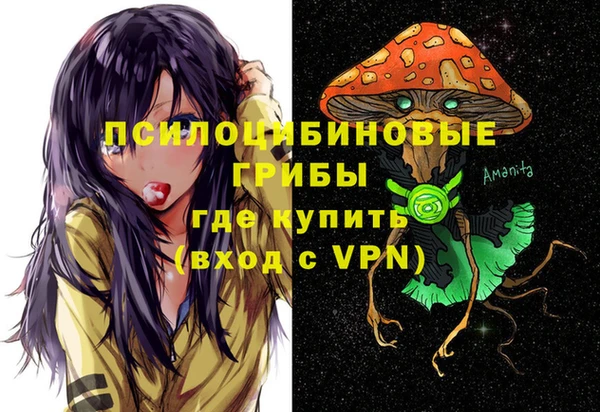 стафф Гусиноозёрск