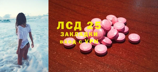 крисы Гусев