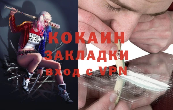 крисы Гусев