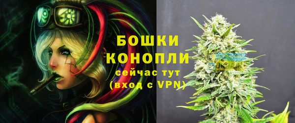 крисы Гусев