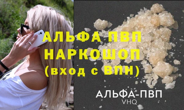 крисы Гусев