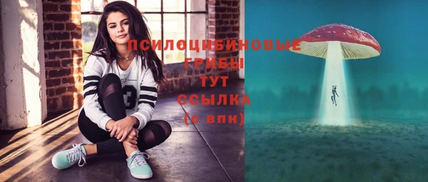 крисы Гусев