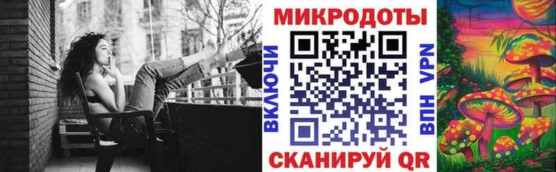 Псилоцибиновые грибы Psilocybe Отрадный