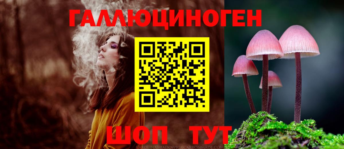 Псилоцибиновые грибы MAGIC MUSHROOMS  Псилоцибиновые грибы мухоморы  Вход с VPN  купить закладку  Отрадный 